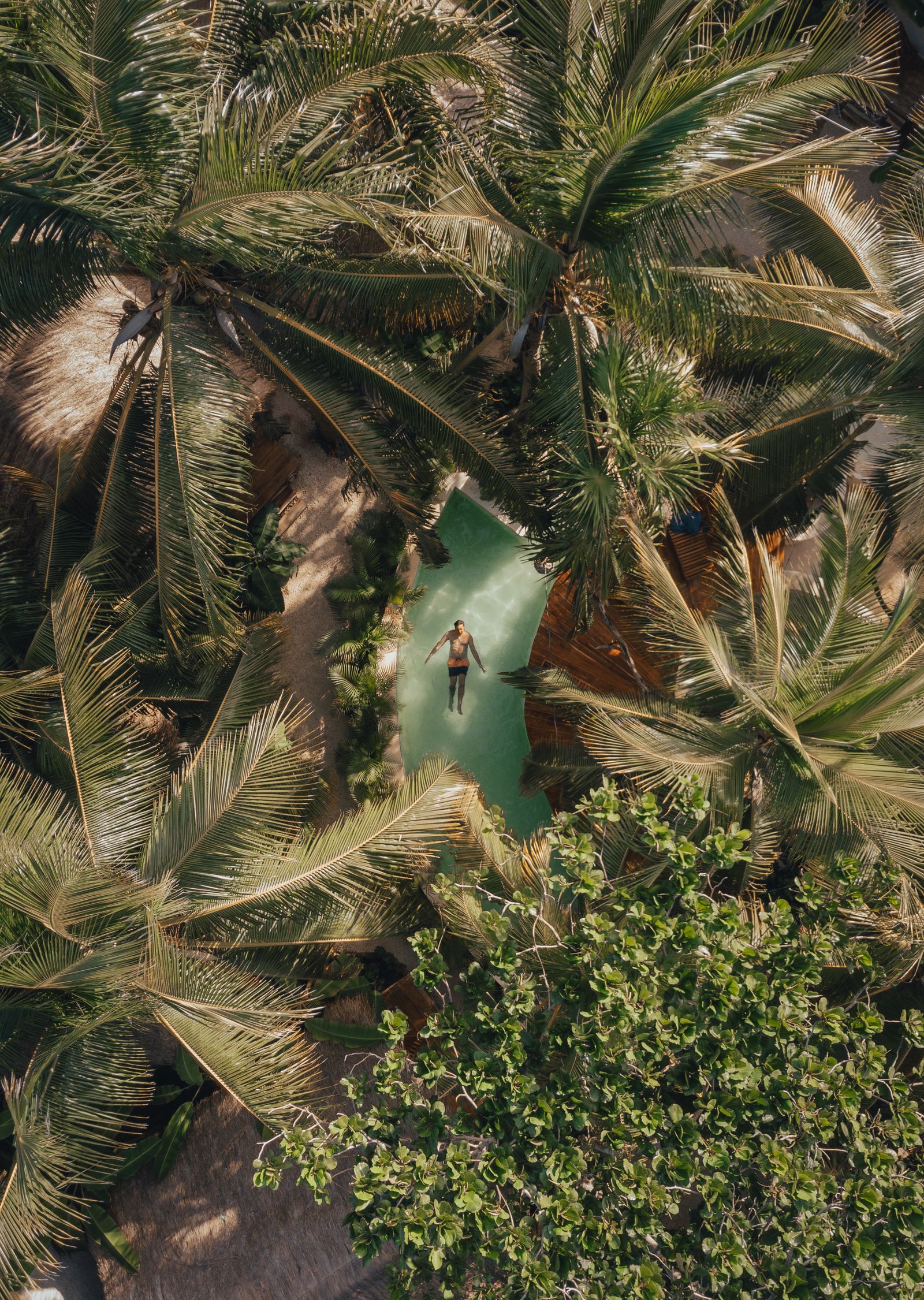 Pool & Garden