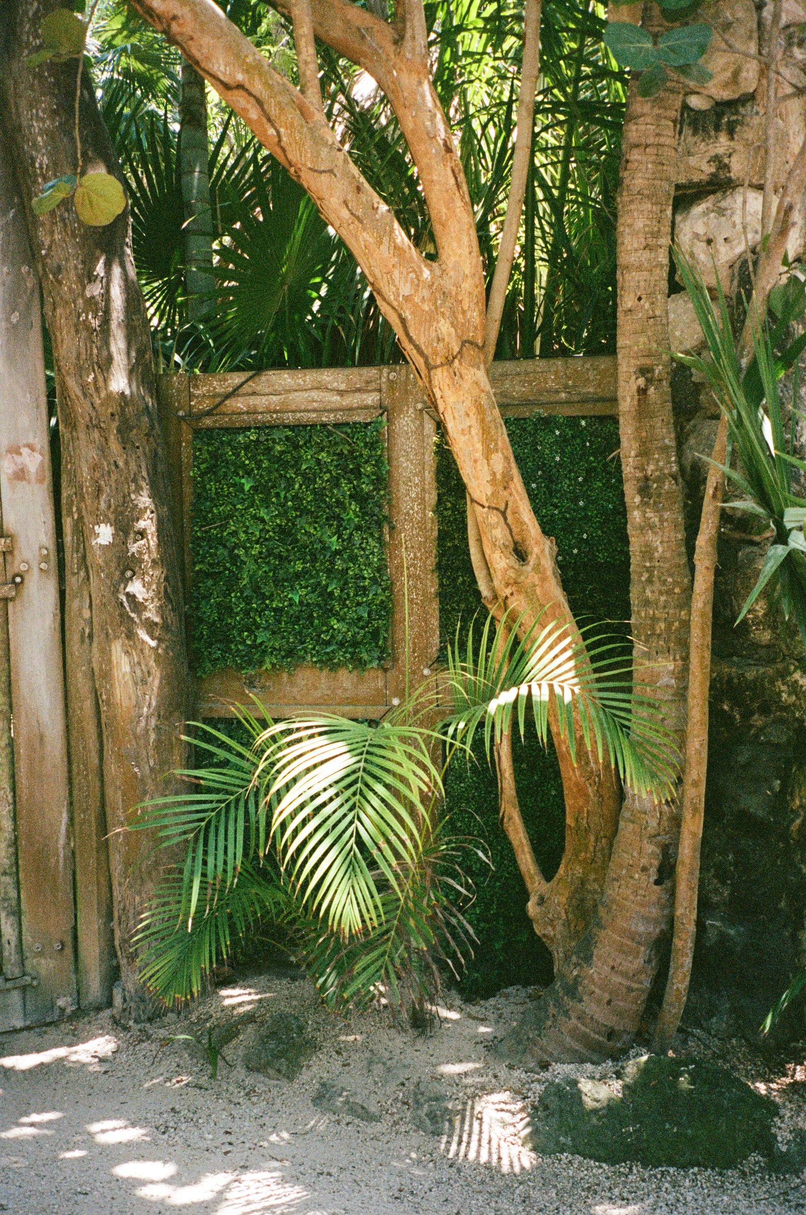turf & surfaces — PlayaStays Design Studio, Playa del Carmen