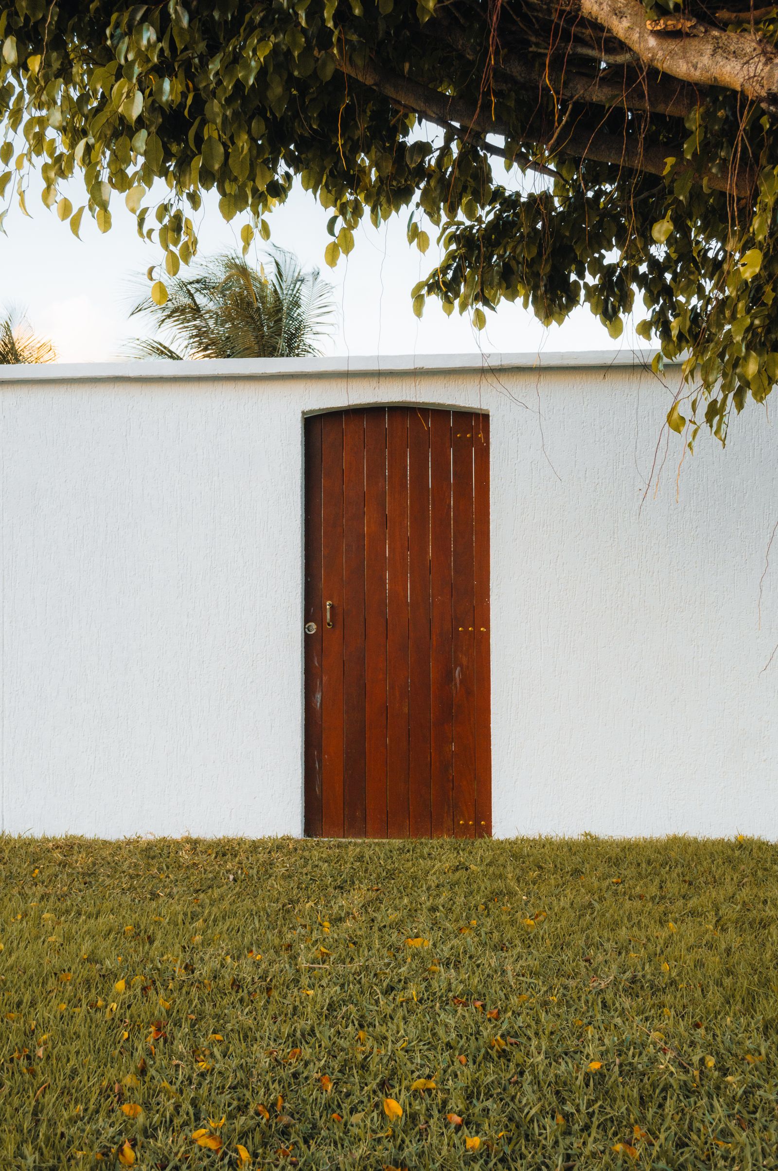 Garden Gates