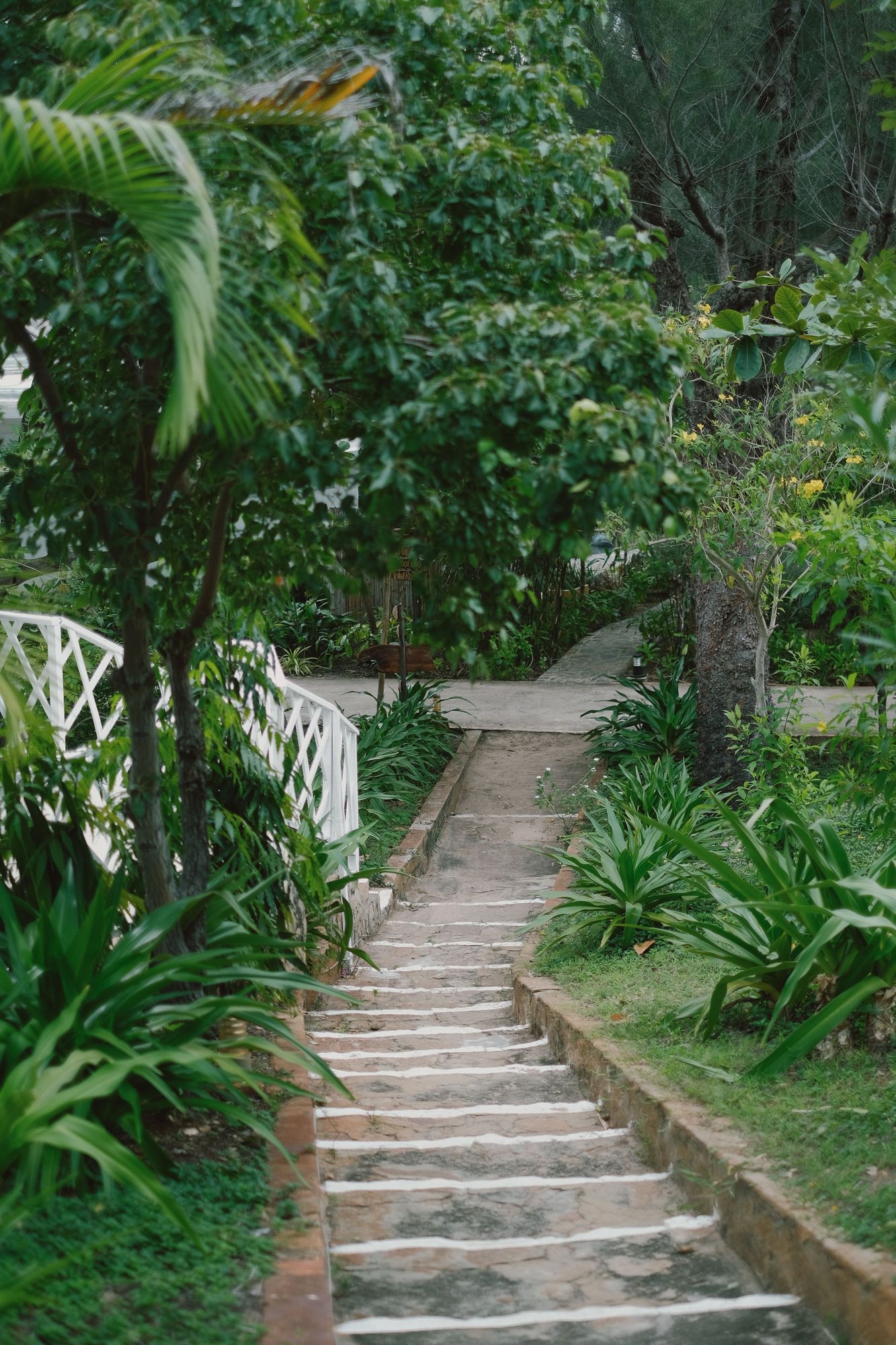 Stone steps climbing through a tropical garden