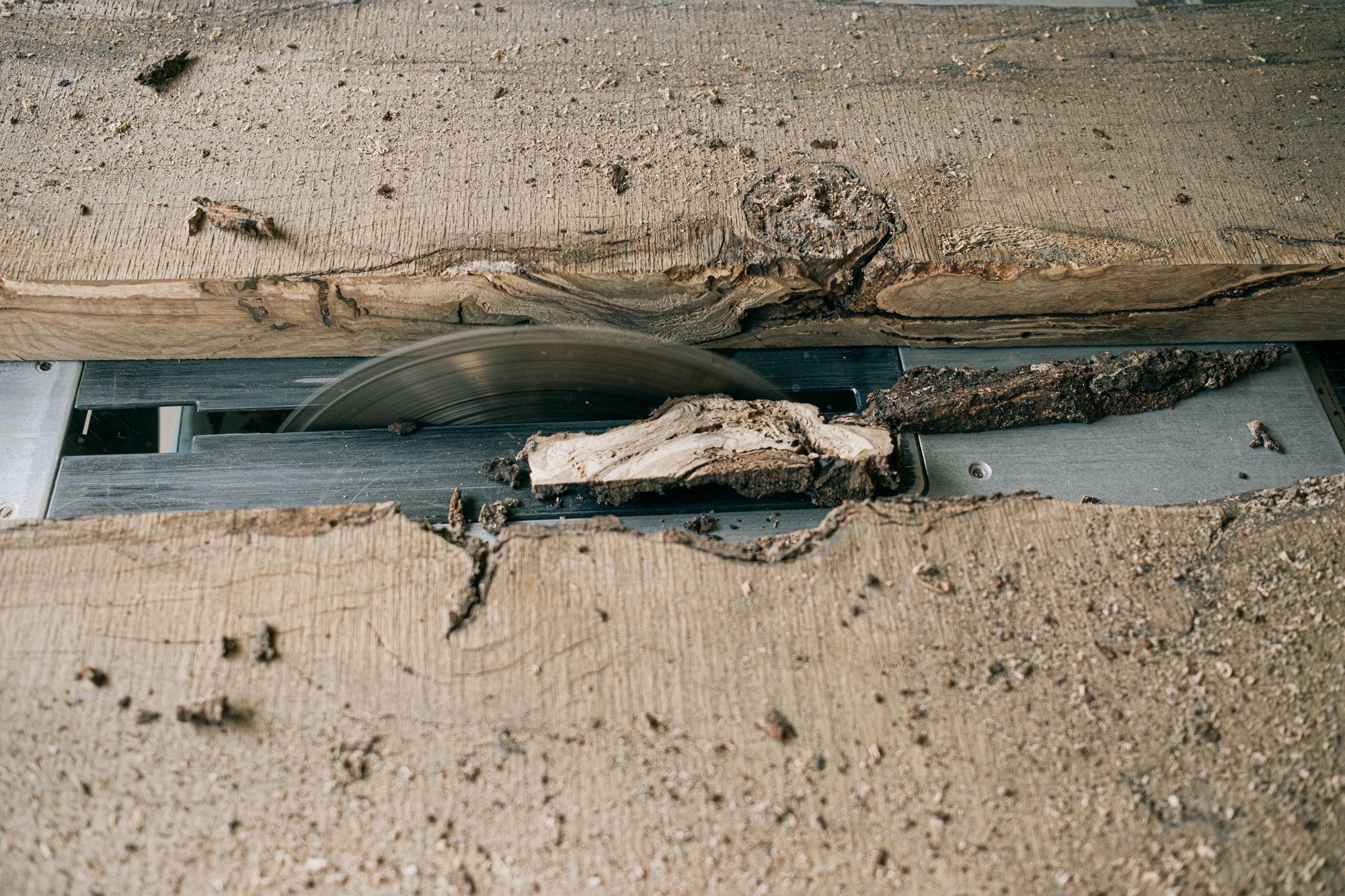 Rough timber being cut on a saw bench